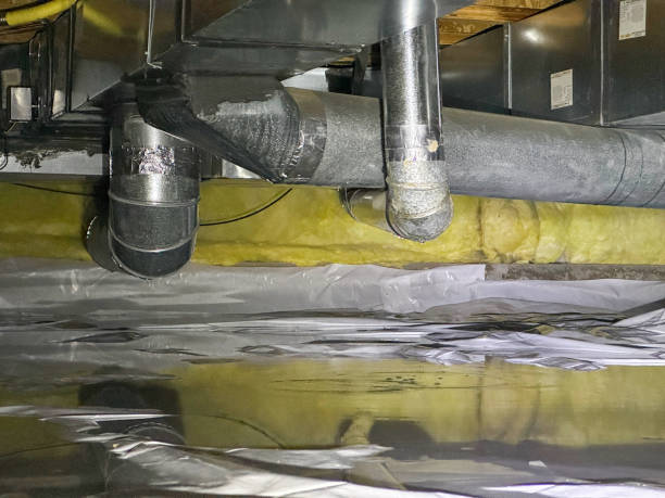 Best Mold Prevention and Remediation in Ucon, ID